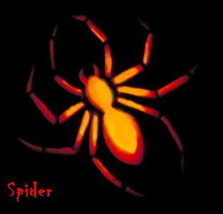 spider