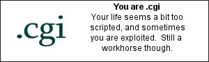 You are .cgi.  Your life seems a bit too scripted, and sometimes you are exploited.  Still a  workhorse though.