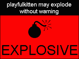 IE shot of 'may explode without warning'